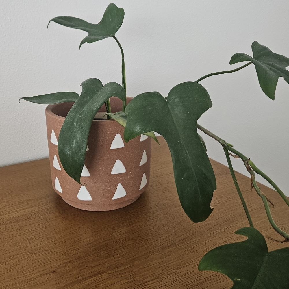 triangle geometric terra cotta clay ceramic boho hippie retro indie planter pot